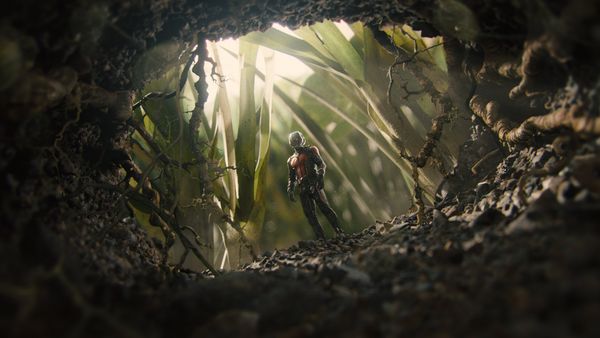 Produktbild: Ant-Man