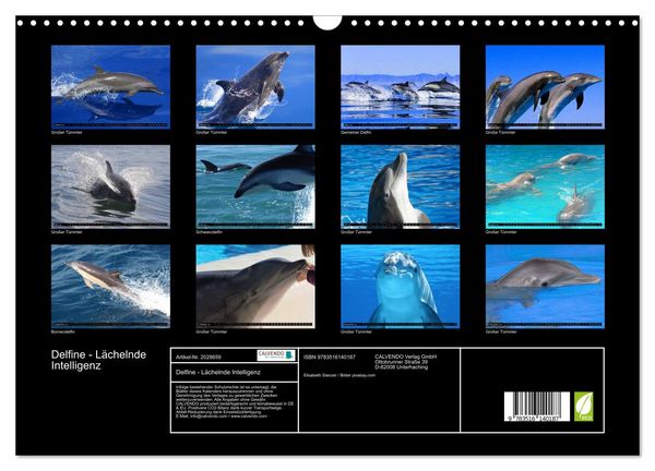 Produktbild: Delfine - L&auml;chelnde Intelligenz (Wandkalender 2026 DIN A3 quer), CALVENDO Monatskalender