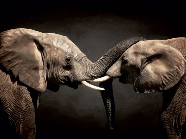 Produktbild: CALVENDO Puzzle Two Elephants | 1000 Teile Lege-Gr&ouml;&szlig;e 64x48cm Foto-Puzzle f&uuml;r gl&uuml;ckliche Stunden