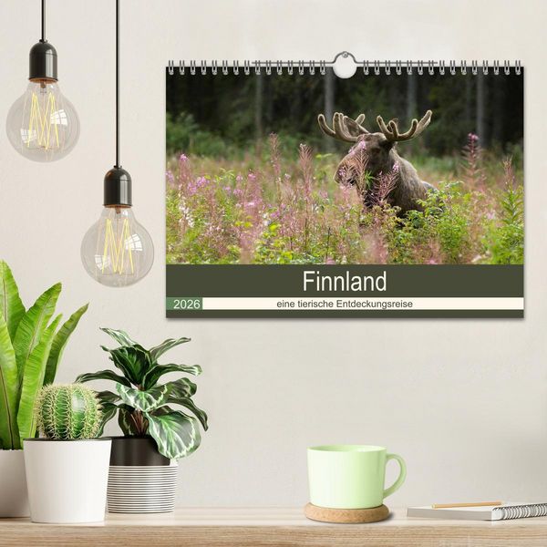 Produktbild: Finnland: eine tierische Entdeckungsreise (Wandkalender 2026 DIN A4 quer), CALVENDO Monatskalender