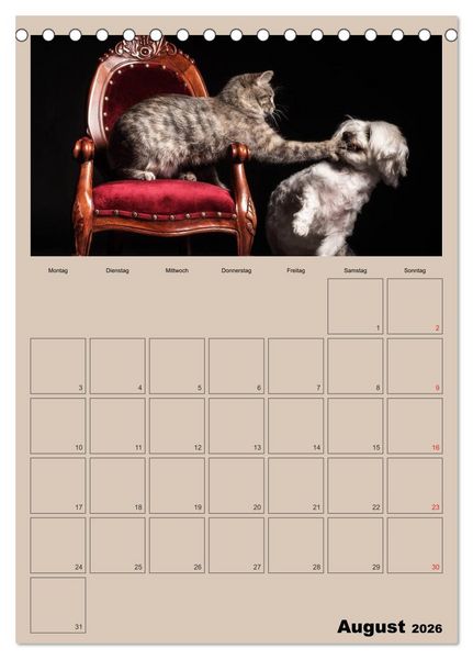 Produktbild: Mit Katzen durchs Jahr / Planer (Tischkalender 2026 DIN A5 hoch), CALVENDO Monatskalender