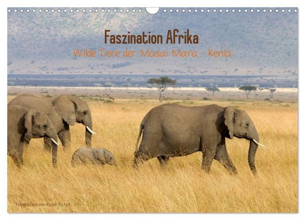 Produktbild: Faszination Afrika - wilde Tiere der Masai Mara - Kenia (Wandkalender 2026 DIN A3 quer), CALVENDO Monatskalender