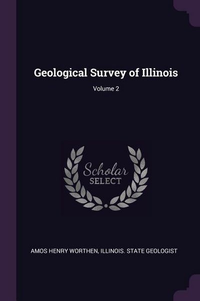 Produktbild: Geological Survey of Illinois; Volume 2