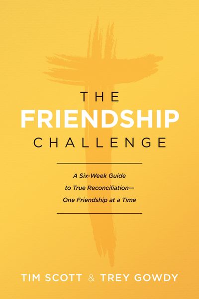 Produktbild: The Friendship Challenge