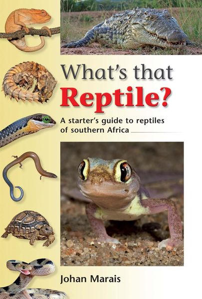Produktbild: What's that Reptile?