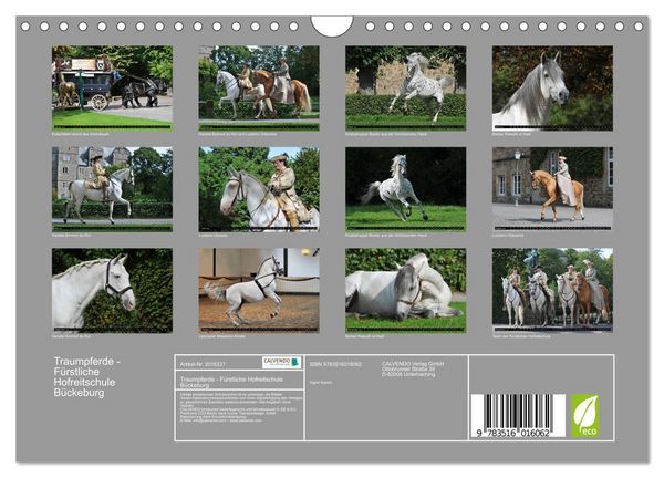 Produktbild: Traumpferde - F&uuml;rstliche Hofreitschule B&uuml;ckeburg (Wandkalender 2026 DIN A4 quer), CALVENDO Monatskalender