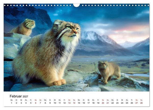 Produktbild: Gegen alles! - Pallaskatzen in ihrer Welt (Wandkalender 2027 DIN A3 quer), CALVENDO Monatskalender