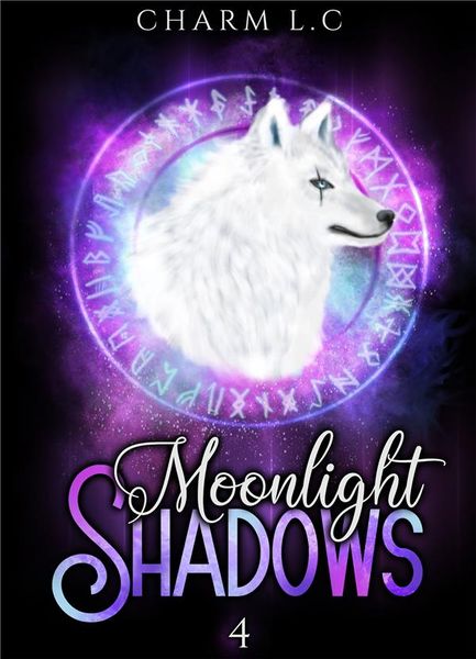 Produktbild: Moonlight shadows tome 4
