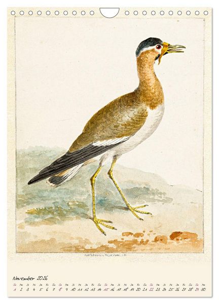 Produktbild: Aert Schouman. V&Ouml;GEL (Wandkalender 2026 DIN A4 hoch), CALVENDO Monatskalender