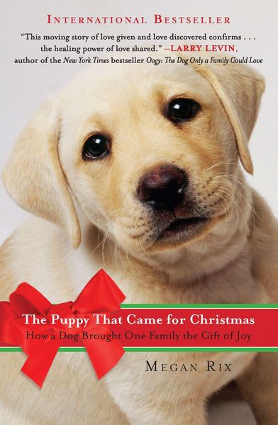 Produktbild: The Puppy That Came for Christmas
