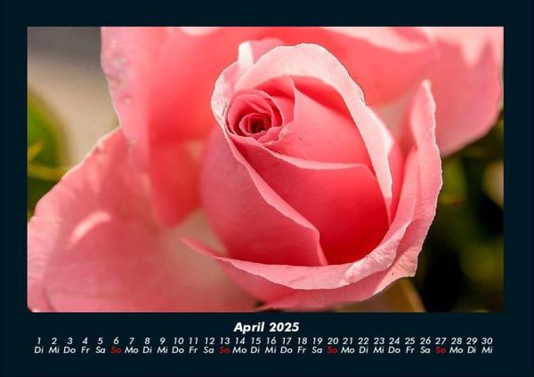 Produktbild: Blumenkalender 2025 Fotokalender DIN A4