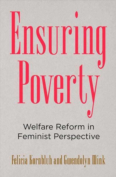 Produktbild: Ensuring Poverty