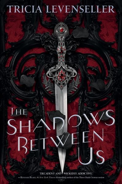 Book cover of The Shadows Between Us