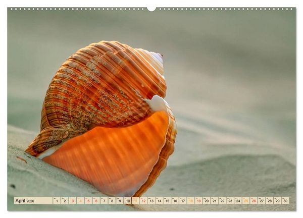 Produktbild: Maritime Welten (Wandkalender 2026 DIN A2 quer), CALVENDO Monatskalender