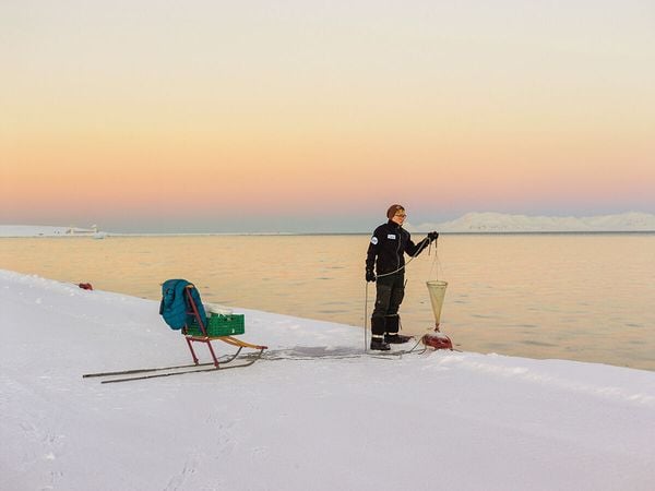 Produktbild: Spitzbergen
