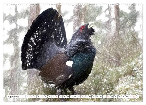 Produktbild: Schottlands Vogelwelt - Ein Portr&auml;t in Zeichnungen (hochwertiger Premium Wandkalender 2026 DIN A2 quer), Kunstdruck in Hochglanz