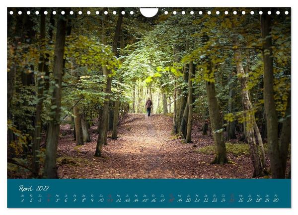 Produktbild: Blick auf die Halbinsel Fischland, Dar&szlig; und Zingst (Wandkalender 2027 DIN A4 quer), CALVENDO Monatskalender