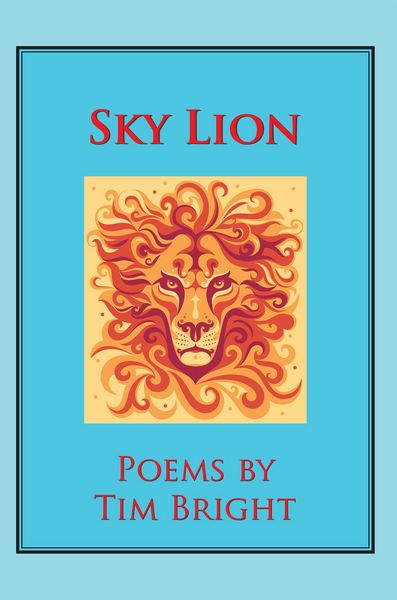 Produktbild: Sky Lion