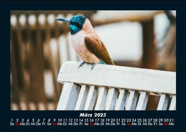Produktbild: Vogelparadies 2025 Fotokalender DIN A5