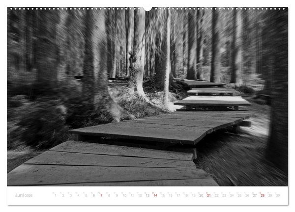 Produktbild: Mystischer Schwarzwald (hochwertiger Premium Wandkalender 2026 DIN A2 quer), Kunstdruck in Hochglanz