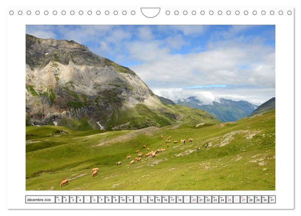 Produktbild: Pyr&eacute;n&eacute;ennes (Calendrier mural 2026 DIN A4 vertical), CALVENDO calendrier mensuel
