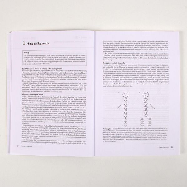 Produktbild: Therapie-Tools EMDR