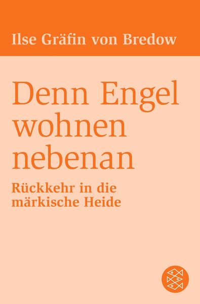 Produktbild: Denn Engel wohnen nebenan