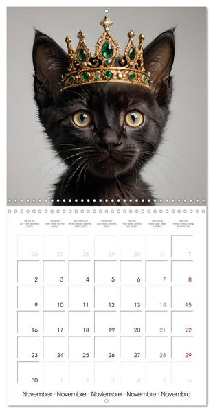 Produktbild: Kitten kings - Cute kings of hearts (Wall Calendar 2026 12 &times; 12 Inch) CALVENDO 12 Month Wall Calendar