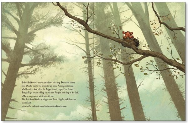 Produktbild: Ein komischer Vogel (Ein komischer Vogel, Bd. 1)