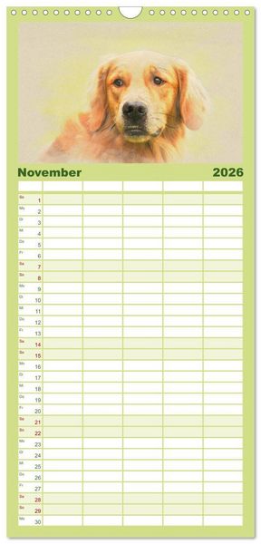 Produktbild: Familienplaner 2026 - Golden Retriever mit 5 Spalten (Wandkalender, 21 x 45 cm) CALVENDO
