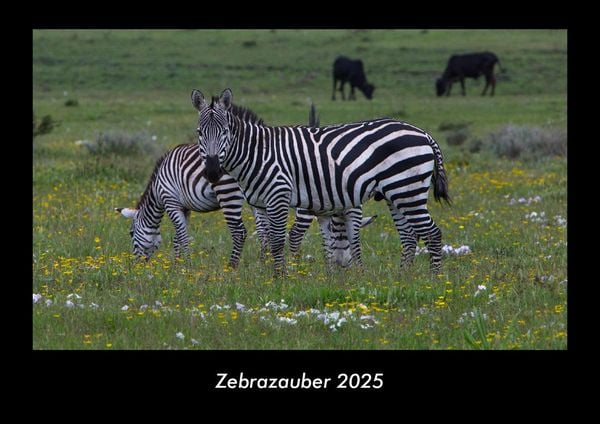 Produktbild: Zebrazauber 2025 Fotokalender DIN A3
