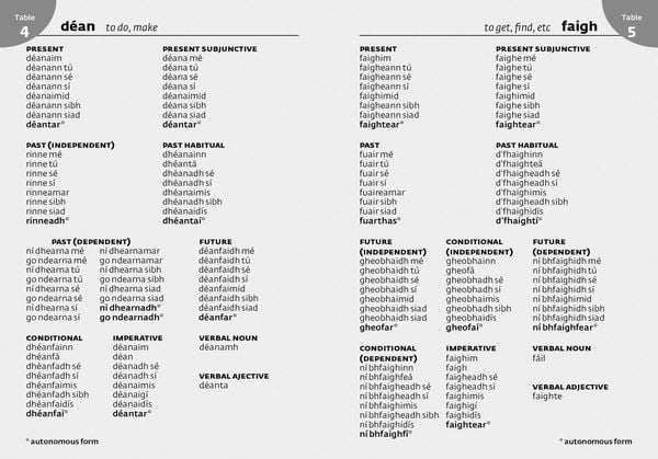 Produktbild: Irish School Dictionary
