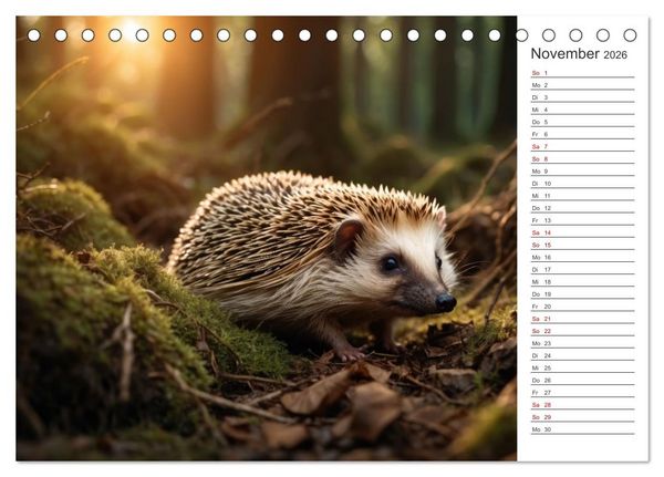 Produktbild: Stachelstars (Tischkalender 2026 DIN A5 quer), CALVENDO Monatskalender