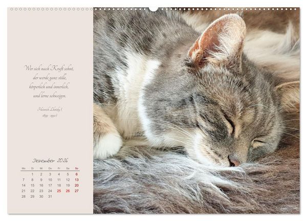 Produktbild: H&auml;ng einfach mal ab (hochwertiger Premium Wandkalender 2026 DIN A2 quer), Kunstdruck in Hochglanz