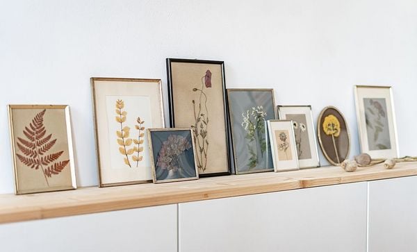 Produktbild: Veilchen, Farn & Ringelblumen