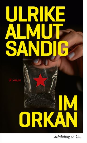 Produktbild: Im Orkan