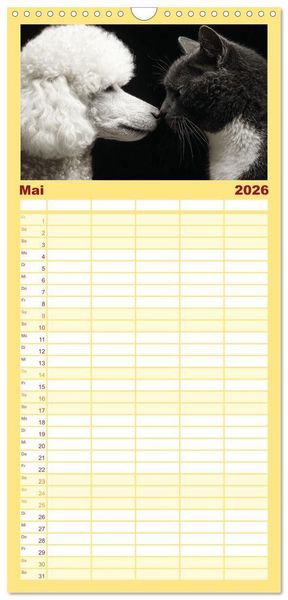 Produktbild: Familienplaner 2026 - Hund und Katze - Tierische Freunde mit 5 Spalten (Wandkalender, 21 x 45 cm) CALVENDO