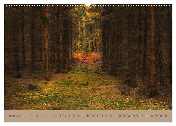 Produktbild: Unser Wald - Magische Sichten in norddeutsche W&auml;lder (Wandkalender 2026 DIN A2 quer), CALVENDO Monatskalender