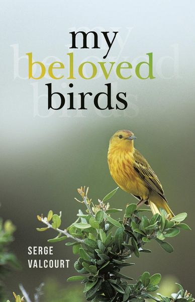 Produktbild: My Beloved Birds