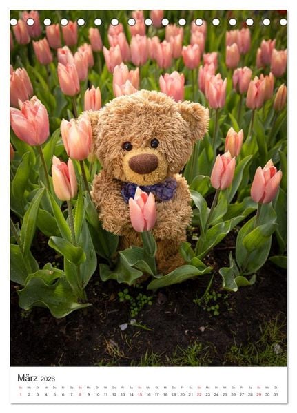 Produktbild: Travelling Teddy liebt Blumen und Bl&uuml;ten (Tischkalender 2026 DIN A5 hoch), CALVENDO Monatskalender