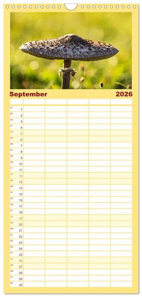 Produktbild: Familienplaner 2026 - Fantastische Pilzwelten mit 5 Spalten (Wandkalender, 21 x 45 cm) CALVENDO