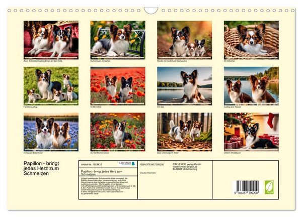 Produktbild: Papillon - bringt jedes Herz zum Schmelzen (Wandkalender 2026 DIN A3 quer), CALVENDO Monatskalender