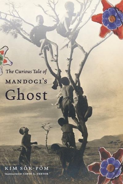 Produktbild: The Curious Tale of Mandogi's Ghost