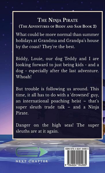 Produktbild: The Ninja Pirate