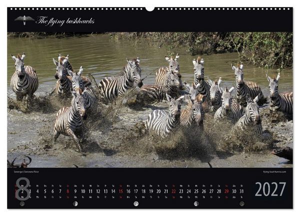 Produktbild: Tansania Blickwinkel 2027 (Wandkalender 2027 DIN A2 quer), CALVENDO Monatskalender