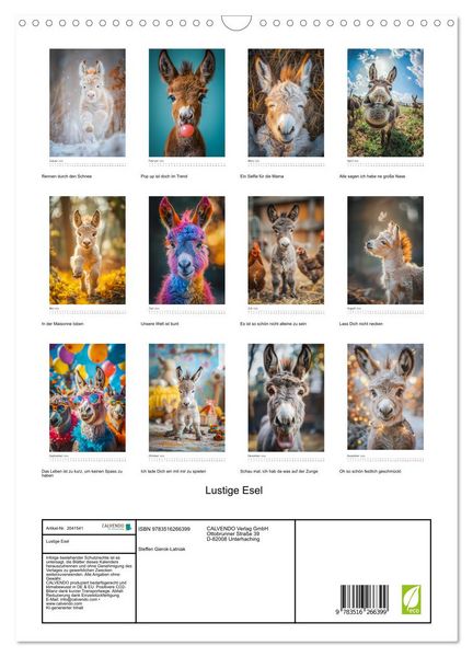 Produktbild: Lustige Esel (Wandkalender 2026 DIN A3 hoch), CALVENDO Monatskalender