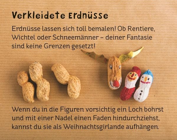 Produktbild: Mein großer Bastel-Adventskalender