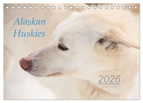 Produktbild: Alaskan Huskies (Tischkalender 2026 DIN A5 quer), CALVENDO Monatskalender