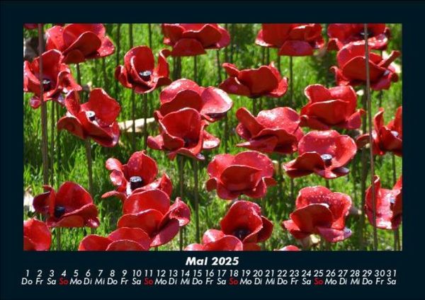 Produktbild: Blumenkalender 2025 Fotokalender DIN A5