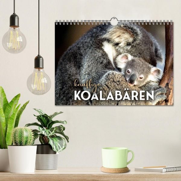Produktbild: Knuffige Koalab&auml;ren (Wandkalender 2026 DIN A4 quer), CALVENDO Monatskalender